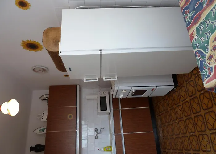 House Sophie בית נופש *